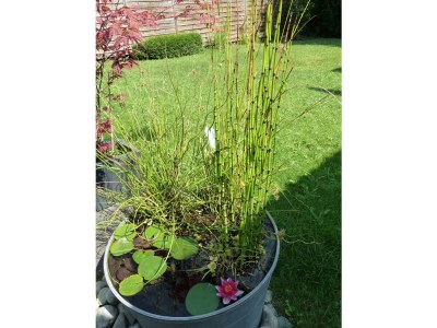 Holiday apartment Rohm - Outdoor photo 5