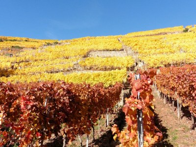 Holiday apartment Rohm - Environment photo 24