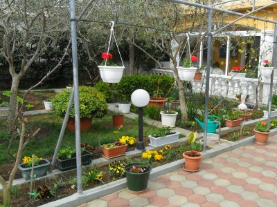 Apartment Two bedroom apartment with terrace Kožino, Zadar A-11169-b - Outdoor photo 4