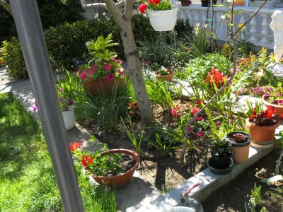 Apartment Two bedroom apartment with terrace Kožino, Zadar A-11169-b - Outdoor photo 6