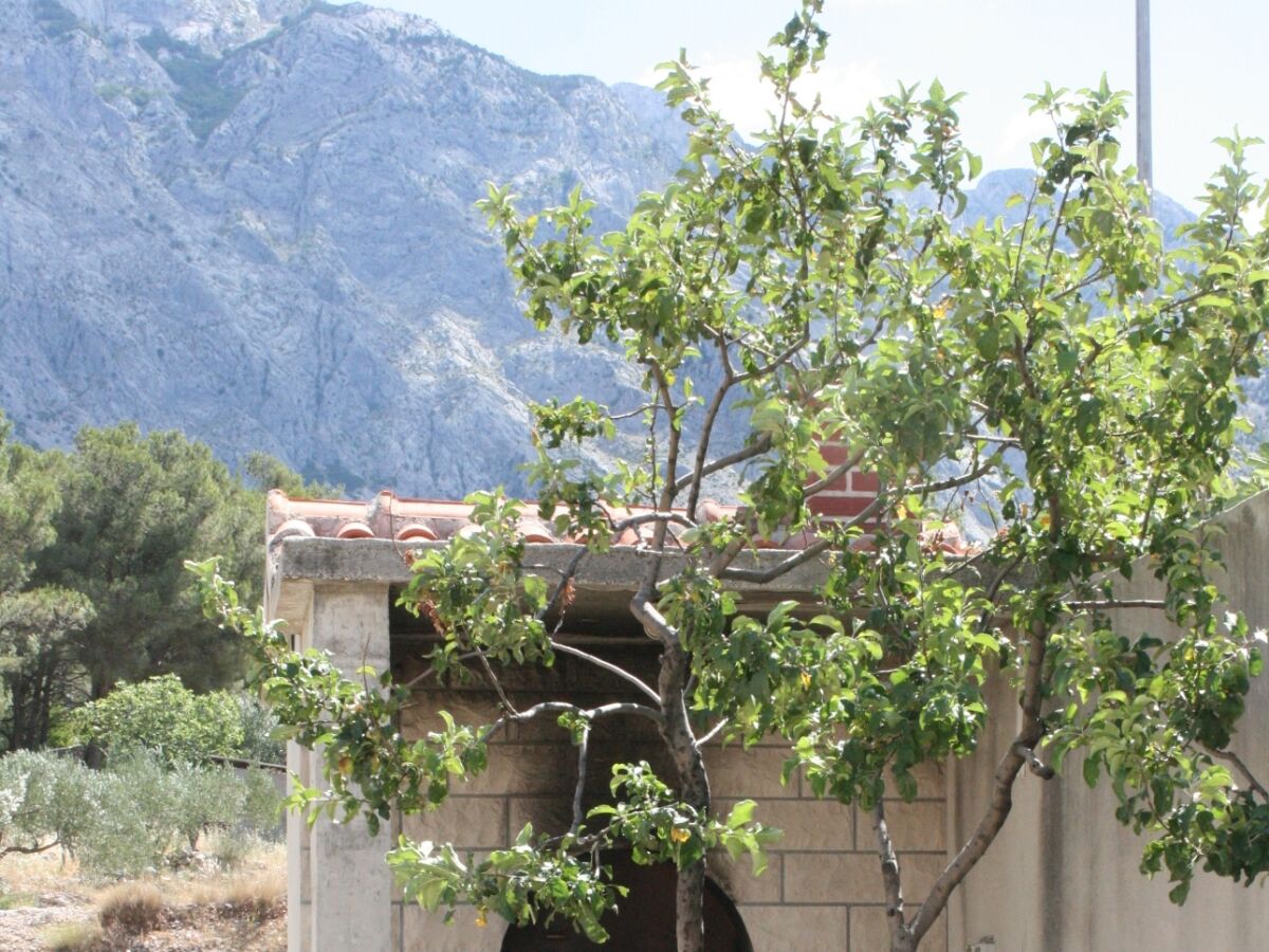 Apartment Studio flat with air-conditioning Baška Voda, Makarska AS-10406-b - Outdoor photo 5