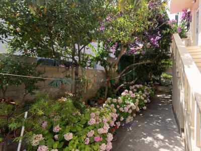 Apartment Two bedroom apartment with terrace Supetar, Brač A-11278-a - Outdoor photo 8