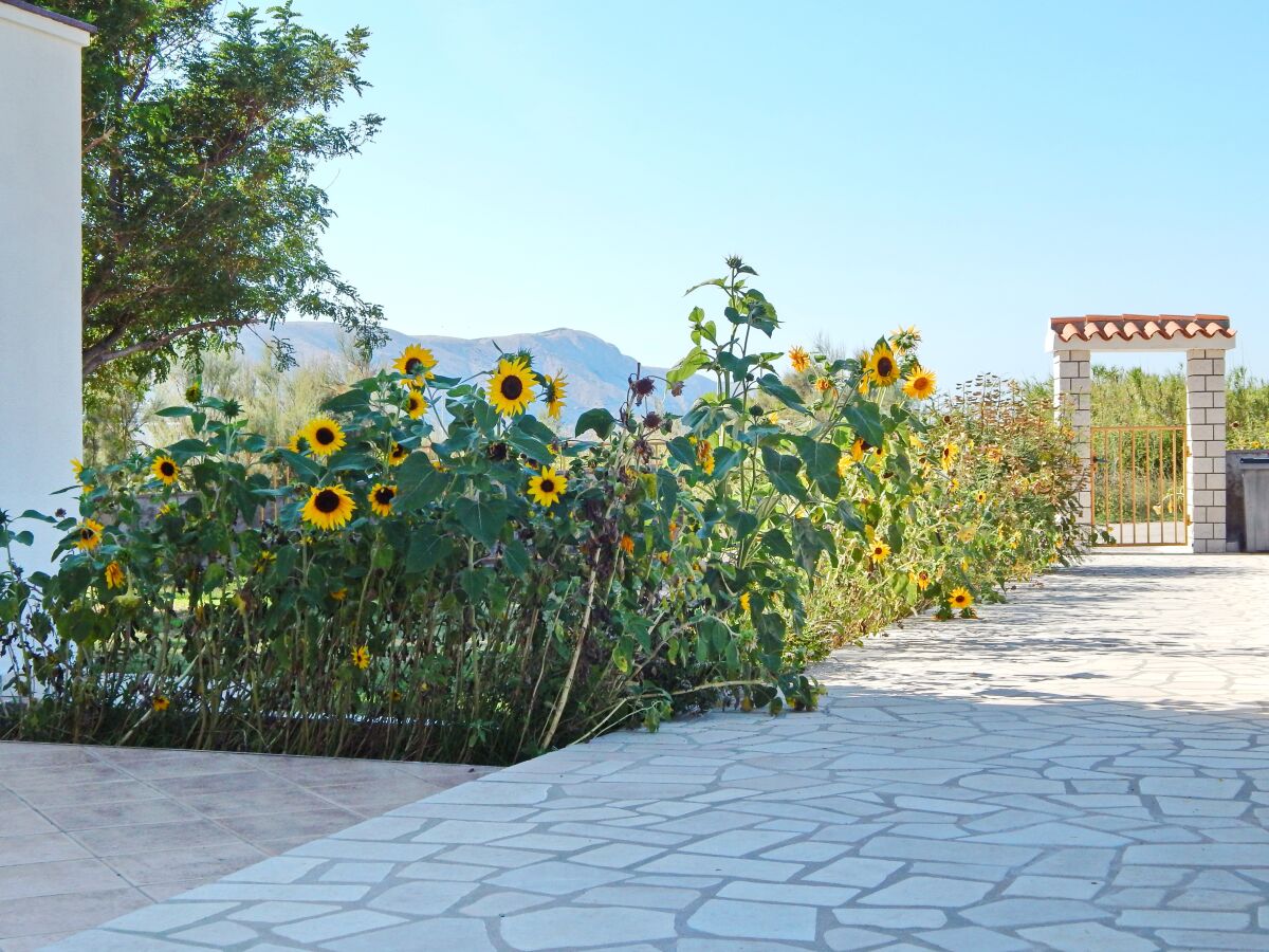 Apartment Two bedroom apartment with balcony Pag A-11358-c - Outdoor photo 4