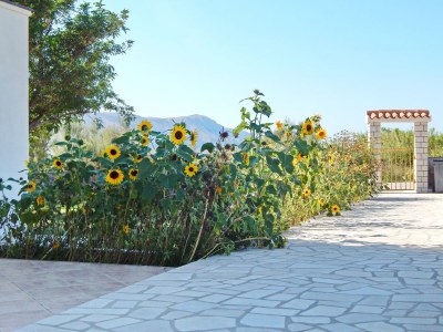 Apartment Two bedroom apartment with balcony Pag A-11358-c - Outdoor photo 4