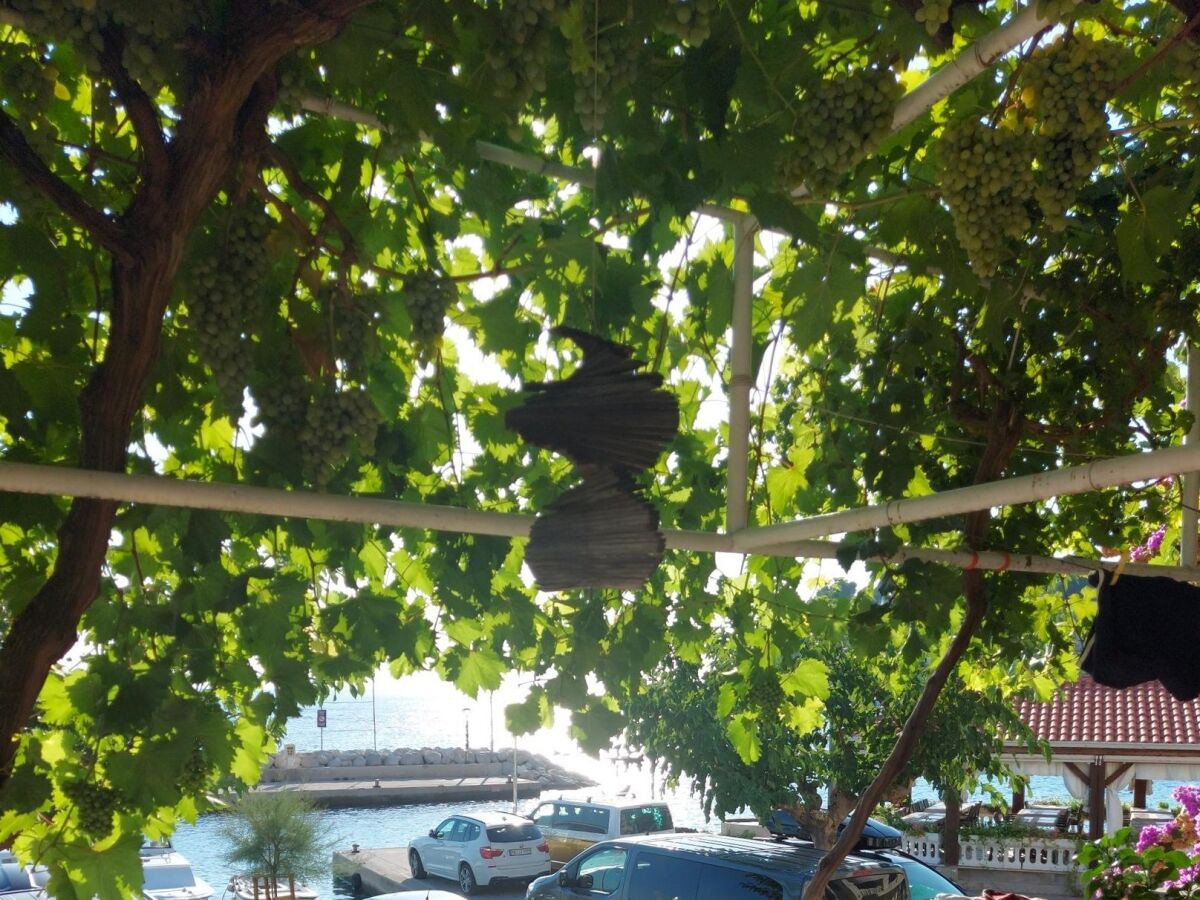 Apartment Three bedroom apartment near beach Podgora, Makarska A-11469-a - Outdoor photo 5