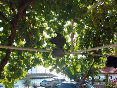 Apartment Three bedroom apartment near beach Podgora, Makarska A-11469-b - Outdoor photo 8