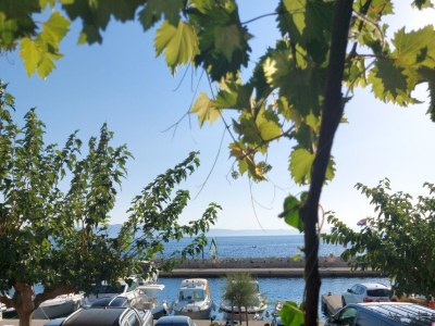 Apartment Three bedroom apartment near beach Podgora, Makarska A-11469-b - Outdoor photo 9