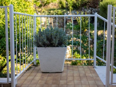 Apartment Three bedroom apartment near beach Podgora, Makarska A-11469-b - Outdoor photo 35