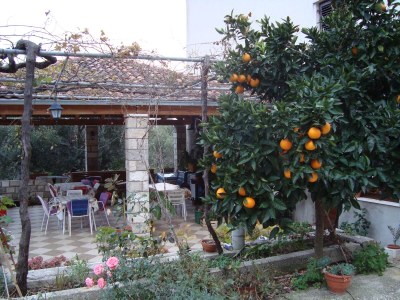 Apartment One bedroom apartment with air-conditioning Slađenovići, Dubrovnik A-11531-a - Outdoor photo 6