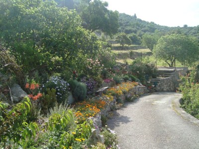 Apartment One bedroom apartment with air-conditioning Slađenovići, Dubrovnik A-11531-a - Outdoor photo 9