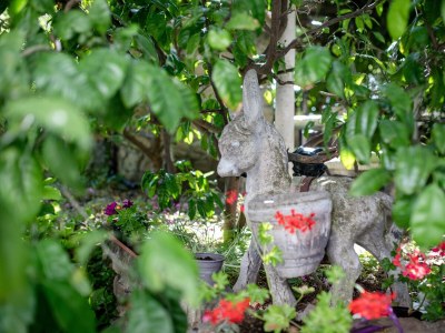 Apartment One bedroom apartment with air-conditioning Lopar, Rab A-12327-c - Outdoor photo 22