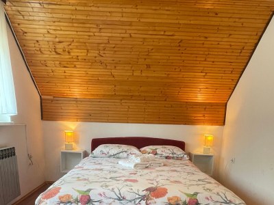 Apartment Two bedroom apartment with terrace Smoljanac, Plitvice A-12345-d - Outdoor photo 17