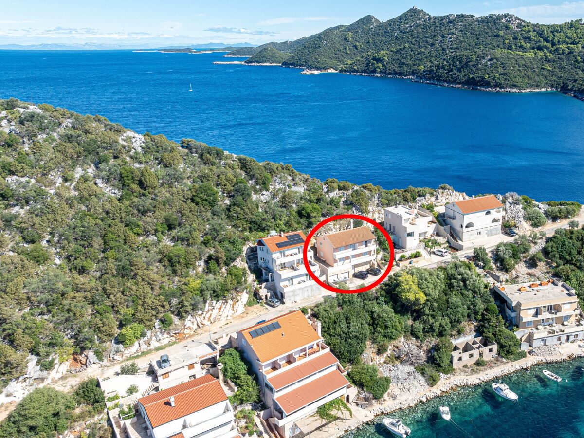 Apartment Two bedroom apartment with balcony and sea view Zaklopatica, Lastovo A-12452-a