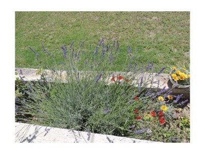 Apartment Apartments with parking space Kaštel Stari, Kaštela - 12104 - Apartments with parking space Kaštel Stari, Kaštela - 12104 - Outdoor photo 9