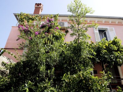 Apartment Two bedroom apartment with terrace Mali Lošinj, Lošinj A-12634-a - Outdoor photo 5