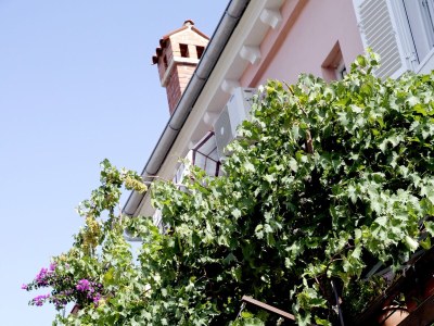 Apartment Two bedroom apartment with terrace Mali Lošinj, Lošinj A-12634-a - Outdoor photo 12