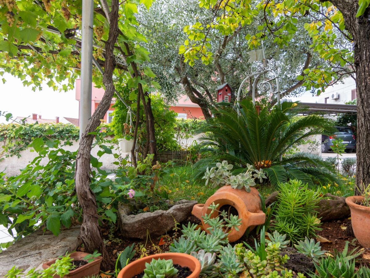 Apartment Three bedroom apartment with terrace Rovinj A-12656-a - Outdoor photo 5