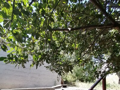 Apartment Two bedroom apartment with terrace Crikvenica A-12305-b - Outdoor photo 21