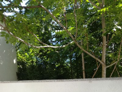 Holiday room with balcony Crikvenica S-12305-a - Outdoor photo 9