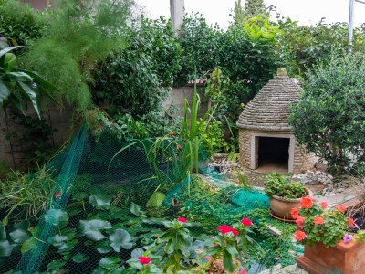 Apartment One bedroom apartment with terrace Rovinj A-12656-b - Outdoor photo 5