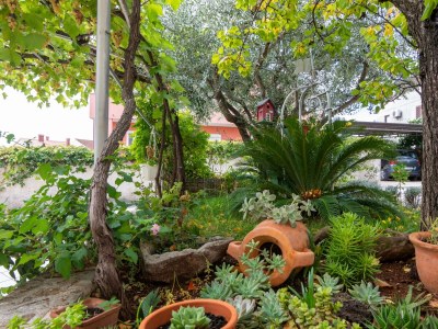 Apartment One bedroom apartment with terrace Rovinj A-12656-b - Outdoor photo 6