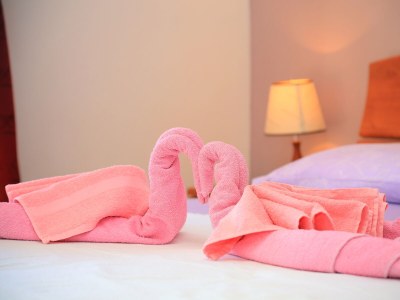 Apartment One bedroom apartment with balcony and sea view Duće, Omiš A-12687-a - Outdoor photo 18