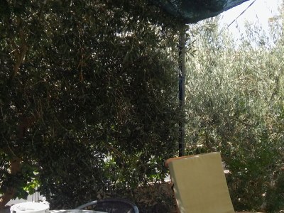 Apartment Studio flat with terrace Milna, Brač AS-735-a - Outdoor photo 12