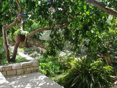 Apartment Studio flat with terrace Milna, Brač AS-735-a - Outdoor photo 13