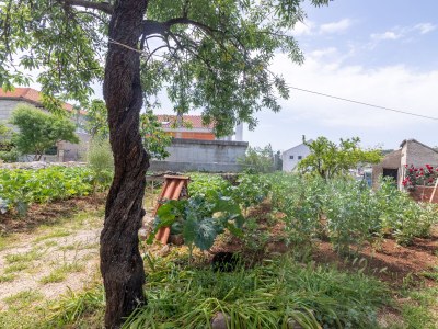 Apartment Two bedroom apartment with terrace Sumartin, Brač A-764-a - Outdoor photo 39