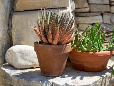 Apartment One bedroom apartment near beach Cove Rapak, Hvar A-12779-a - Outdoor photo 13