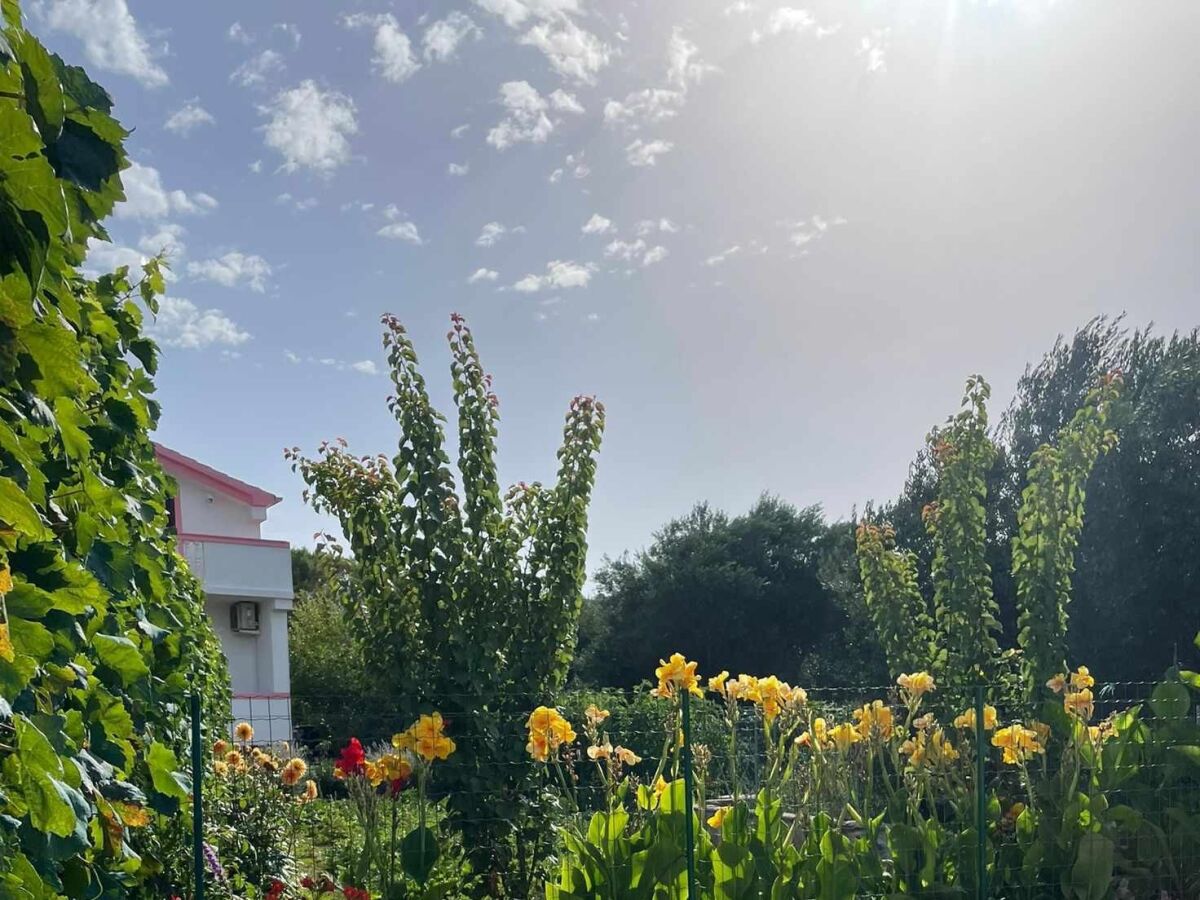 Apartment Two bedroom apartment with terrace and sea view Kraj, Pašman A-819-a - Outdoor photo 4