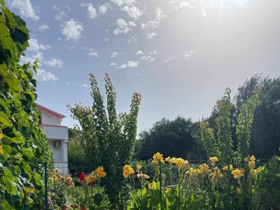 Apartment Two bedroom apartment with terrace and sea view Kraj, Pašman A-819-a - Outdoor photo 4