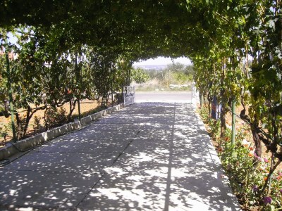 Apartment Two bedroom apartment with terrace and sea view Kraj, Pašman A-819-a - Outdoor photo 6