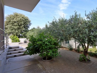 Apartment Two bedroom apartment with terrace Banjol, Rab A-12838-b - Outdoor photo 10