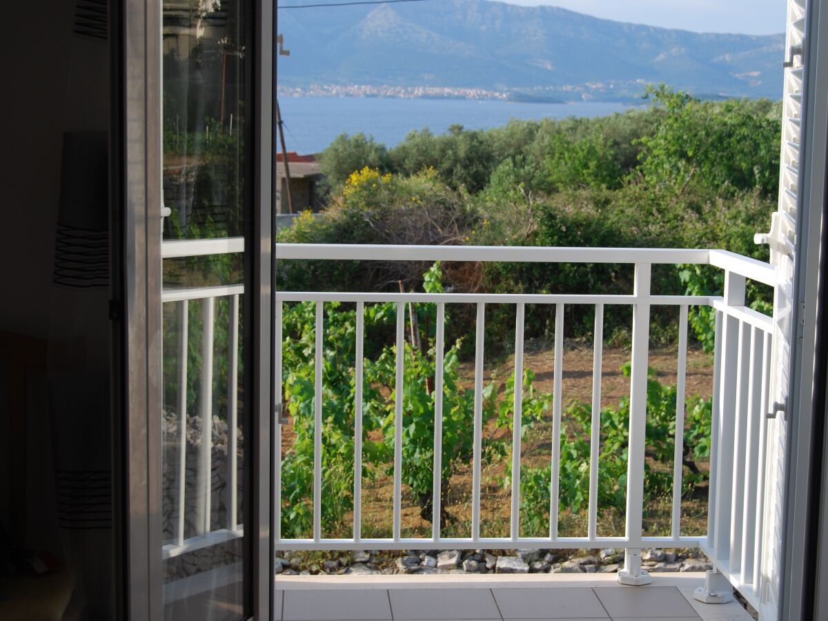 Apartment One bedroom apartment with balcony and sea view Lumbarda, Korčula A-12839-b