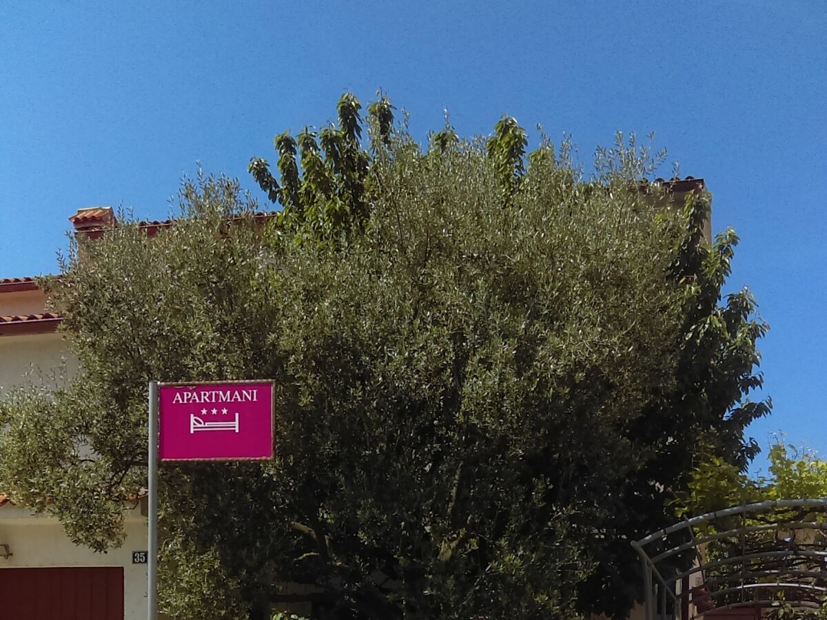 Apartment Studio flat with balcony Fažana AS-12862-b - Outdoor photo 3