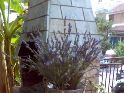 Apartment Studio flat with balcony Fažana AS-12862-b - Outdoor photo 8