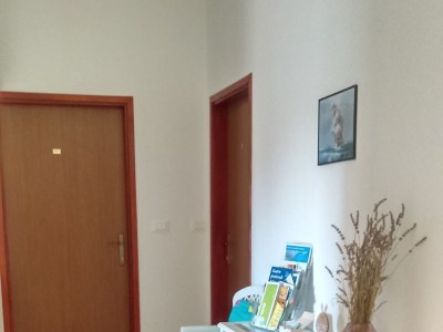 Apartment Studio flat with balcony Fažana AS-12862-b - Outdoor photo 14