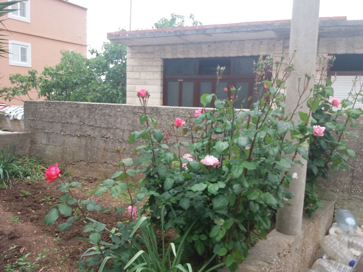Apartment One bedroom apartment with terrace and sea view Sućuraj, Hvar A-12887-b - Outdoor photo 4