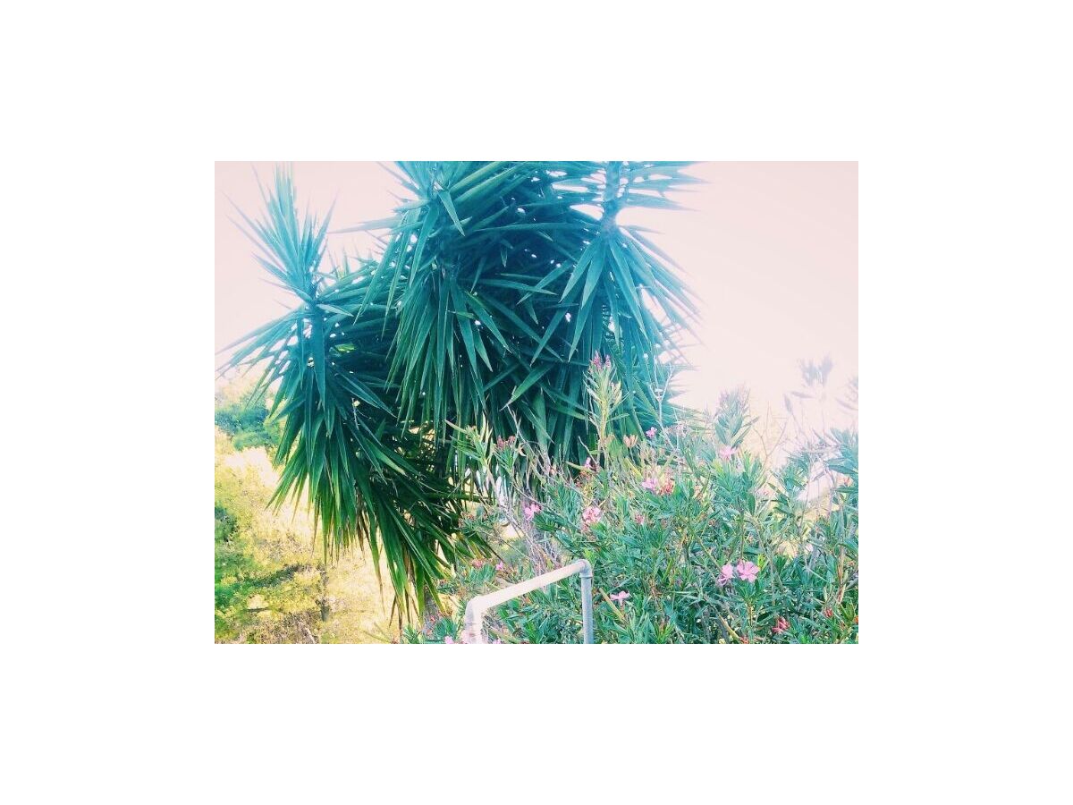 Apartment Three bedroom apartment with terrace and sea view Brna - Vinačac, Korčula A-13344-a - Outdoor photo 3