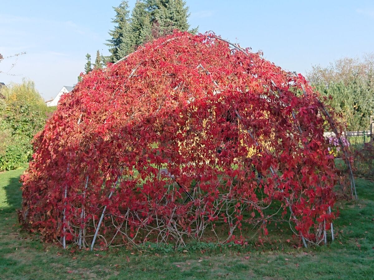 Holiday house Alte Kaeserei - Outdoor photo 2