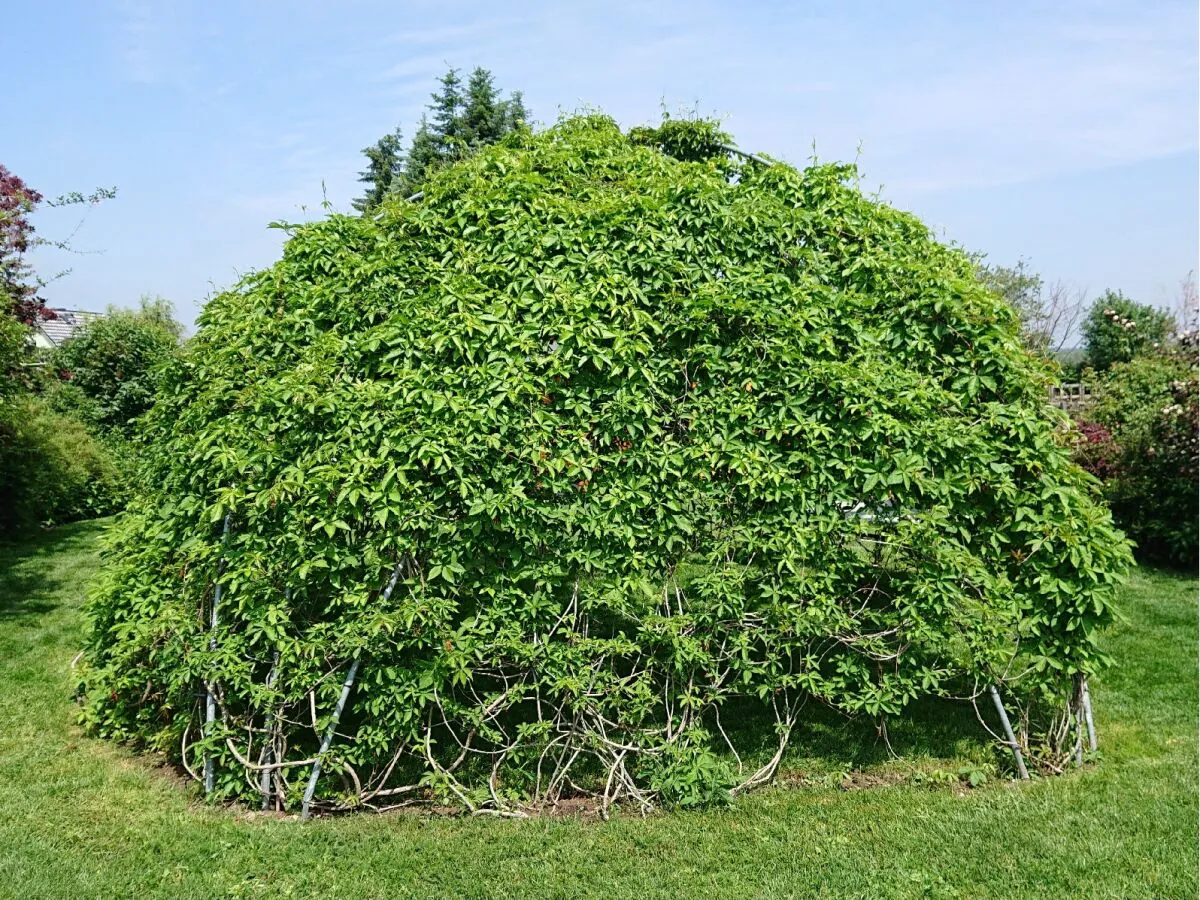 Holiday house Alte Kaeserei - Outdoor photo 3