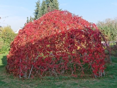 Holiday house Alte Kaeserei - Outdoor photo 2