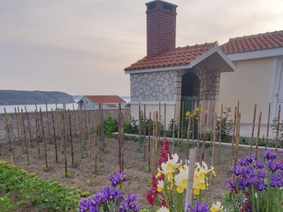 Apartment One bedroom apartment with balcony and sea view Rtina - Miočići, Zadar A-13072-a - Outdoor photo 6