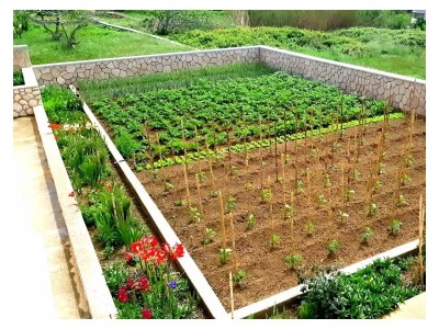 Apartment One bedroom apartment with balcony and sea view Rtina - Miočići, Zadar A-13072-a - Outdoor photo 7