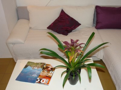 Apartment Apartments with parking space Supetar, Brač - 13180 - Apartments with parking space Supetar, Brač - 13180 - Outdoor photo 10