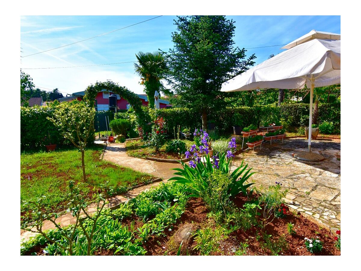 Apartment One bedroom apartment with terrace Savudrija, Umag A-13589-b - Outdoor photo 3