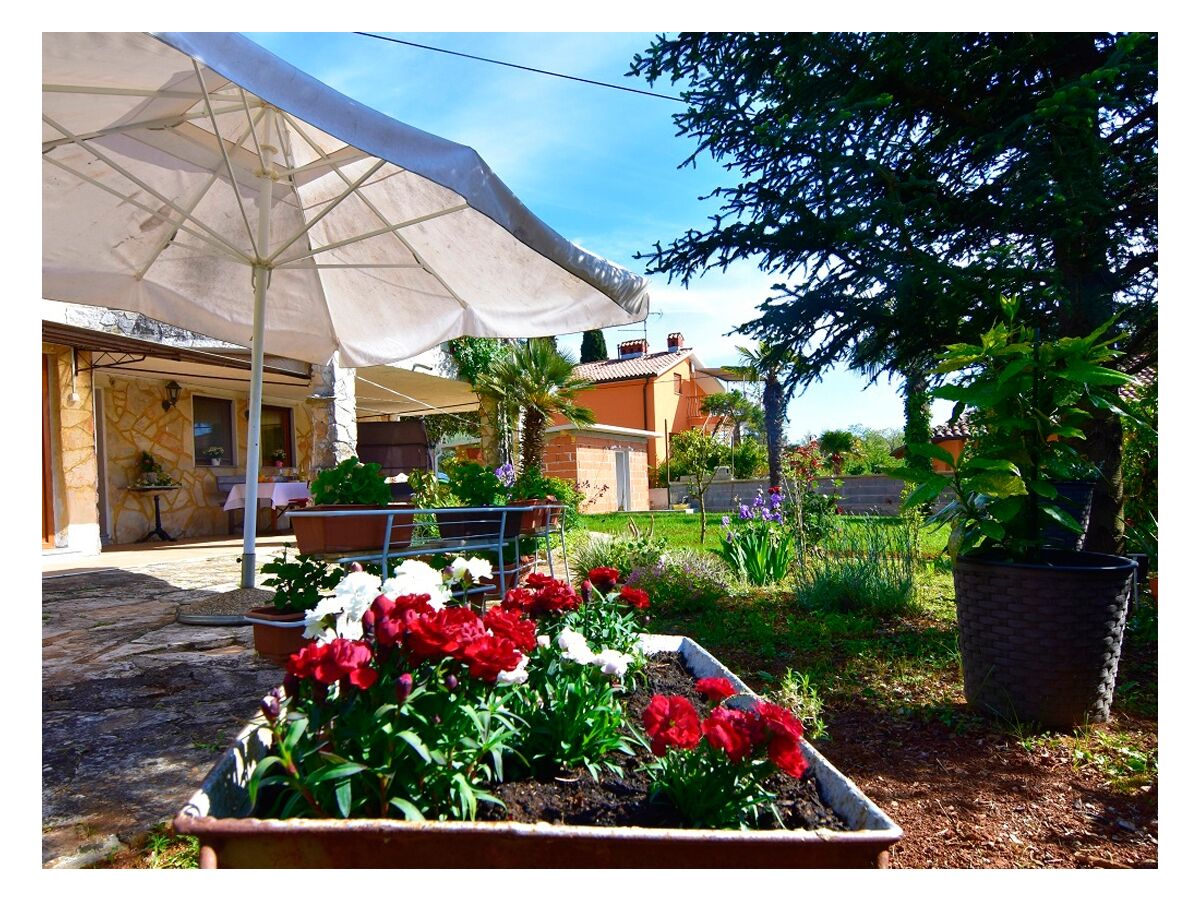 Apartment One bedroom apartment with terrace Savudrija, Umag A-13589-b - Outdoor photo 4