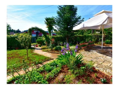 Apartment One bedroom apartment with terrace Savudrija, Umag A-13589-b - Outdoor photo 3