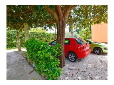 Apartment One bedroom apartment with terrace Savudrija, Umag A-13589-b - Outdoor photo 5